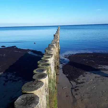 Muschelsucher Apartmán *