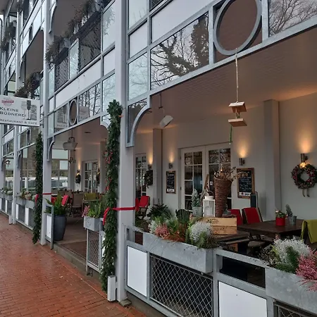 Muschelsucher Boltenhagen (Ostseebad)