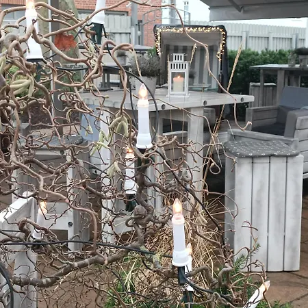 Apartmán Muschelsucher *