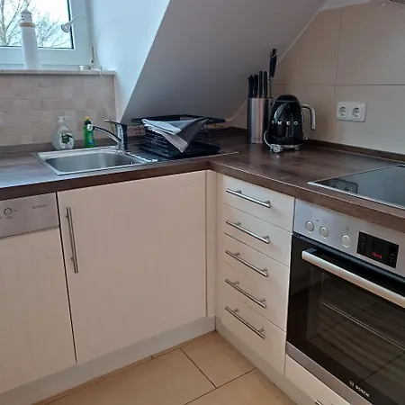 Muschelsucher Boltenhagen (Ostseebad)