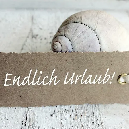 Muschelsucher * Boltenhagen (Ostseebad)